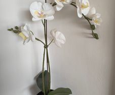 Artificial Plant