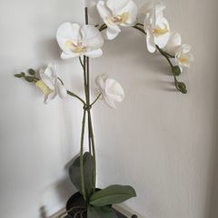 Artificial Plant