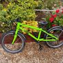 Frog 55 Kids Bike Image 3
