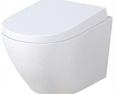 Hung Wall toilet seat