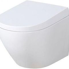 Hung Wall toilet seat