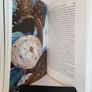 Waverley or, 'Tis Sixty Years Since' by Walter Scott. Introduction by Alasdair Gray. Illustrated by Ben Cain (HQ263) Image 6