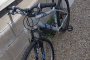 apollo phaze mountain bike
