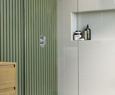 Shower screen
