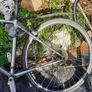 track bike Image 2