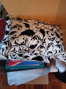 Cushions/Throw