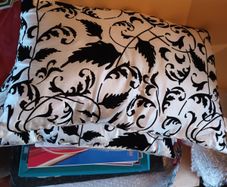 Cushions/Throw