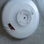 Greenlamp Halo 24W CCT IP54 Luminaire (white) Image 2
