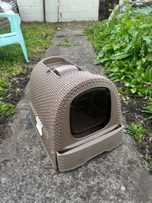 cat litter box