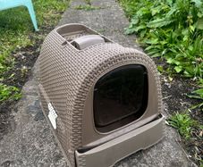 cat litter box