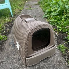 cat litter box