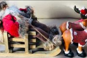 Christmas Santa &amp; Reindeers