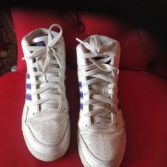 Trainers