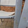 Garden Image 5