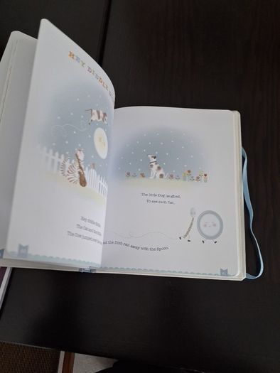 Baby Boy Record Book