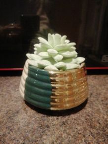 faux succulent plant in ceramic pot