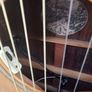 Collings OM2H Acoustic Guitar With Pick Up And Original Hard Case. Image 4