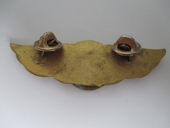 Rare Irish Flight-type Badge