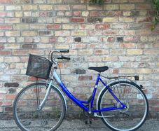 Venice ladies bike