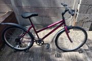 ladies mountain bike cycling perfect.