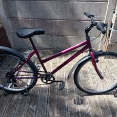 ladies mountain bike cycling perfect.