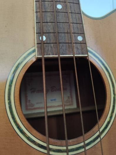 Fretless Bass guitar