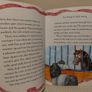 horse Stories Books by miles kelly Image 8