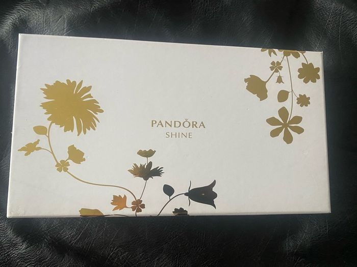 Pandora Clutch Bag