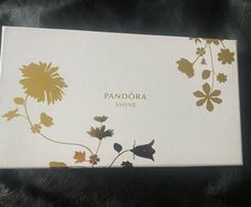 Pandora Clutch Bag