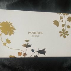 Pandora Clutch Bag