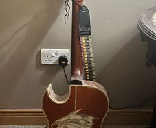 12 string guitar