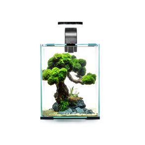 Aquael Shrimp Set Day&night 10l Black