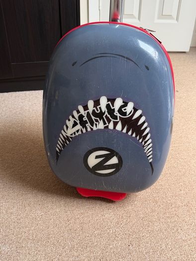 Scooter case