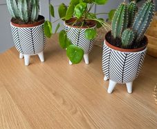 Plant pot