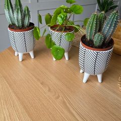 Plant pot