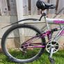 Bike -Adult bicycle Image 4