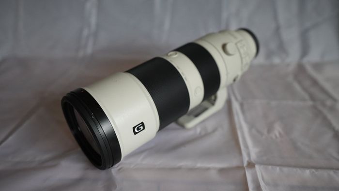 Sony FE 200-600mm f/5.6-6.3 G OSS Lens