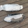 Vw Golf mk7 GTD headlight lens' Image 4