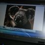 Dell Latitude E5400 14" Core 2 Duo 2.26ghz 4gb Ram 250gb Hdd Wifi Bluetooth Image 8