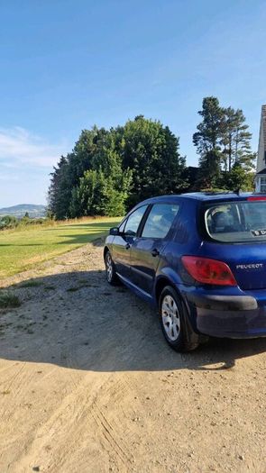 Peugeot 307 1.4 2004