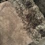 Shearling coat jacket fur suede leather women Gerry Webber size 10-12 brown Image 6
