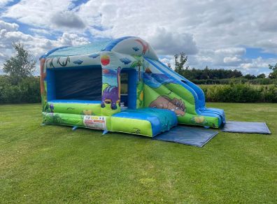 15x12ft Dinosaur Front Slide Comb