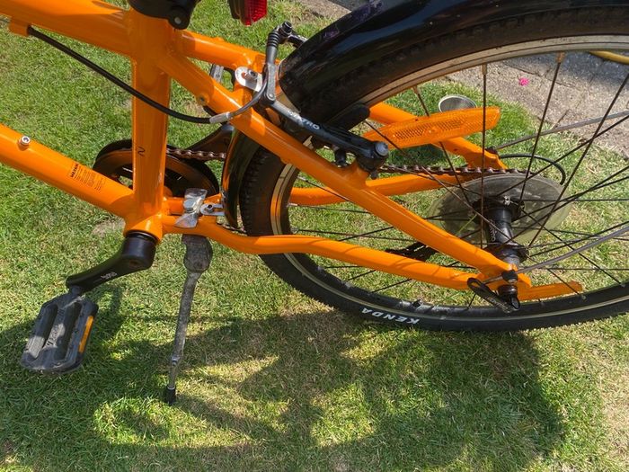 Frog Bike