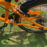 Frog Bike Image 9