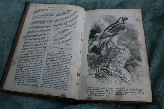 The Christian Miscellany and Family Visitor for the Year 1862
