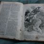 The Christian Miscellany and Family Visitor for the Year 1862 Image 7