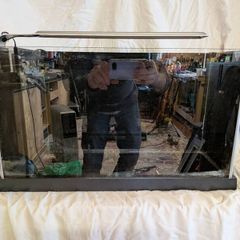 Fluval Spec 19L Aquarium