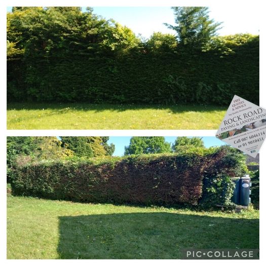 Garden maintenance