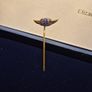 Vintage RAOB Order of Buffaloe Lapel Tie Stick Pin Badge Blue Enamel Image 3