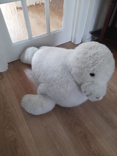 Giant Seal - Only 25